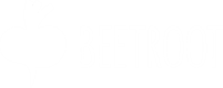 Beetroot Academy