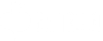 Beetroot Academy
