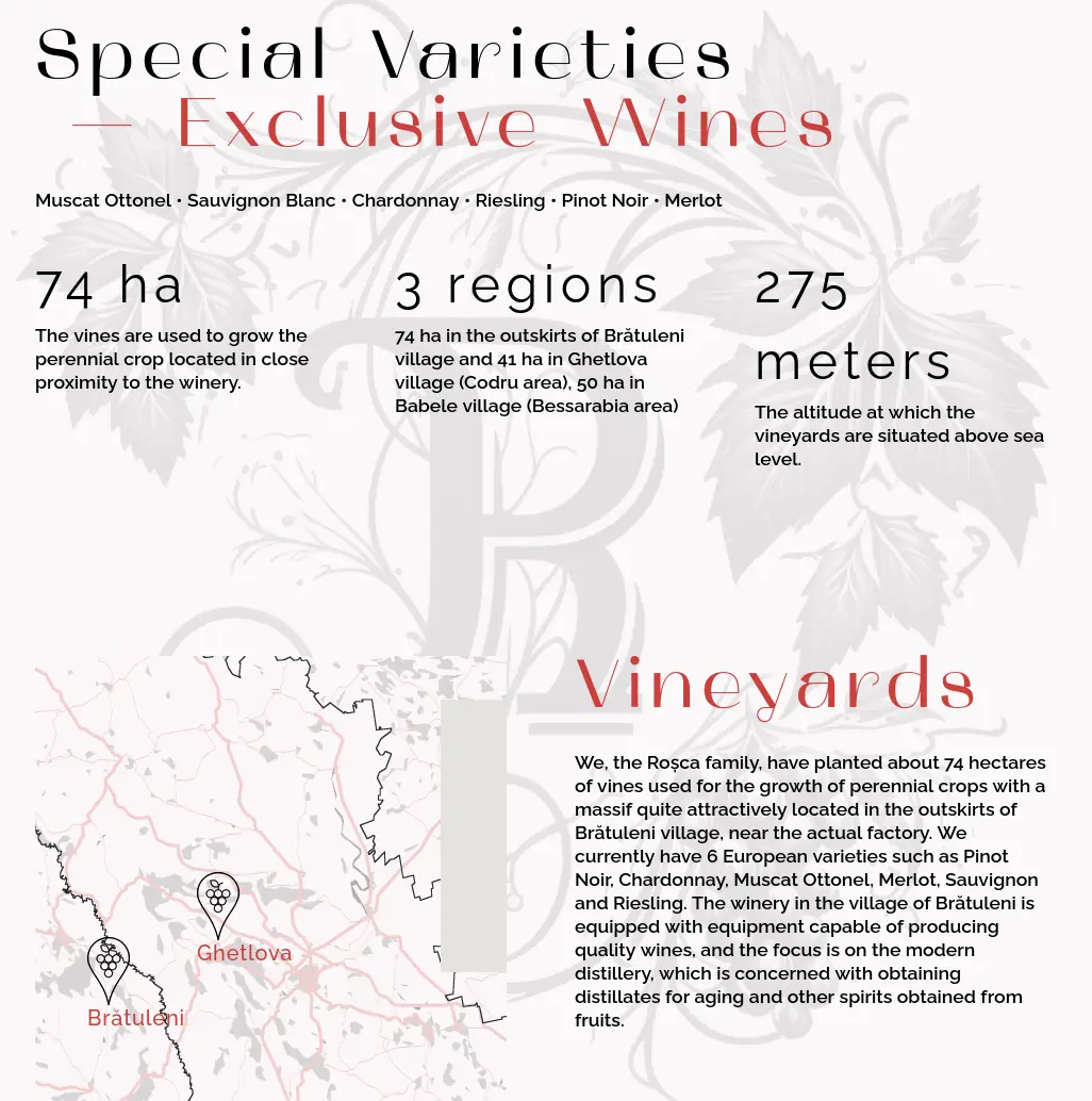 Rosca Winery website, cream and burgundy palette with bottle details and tasting notes